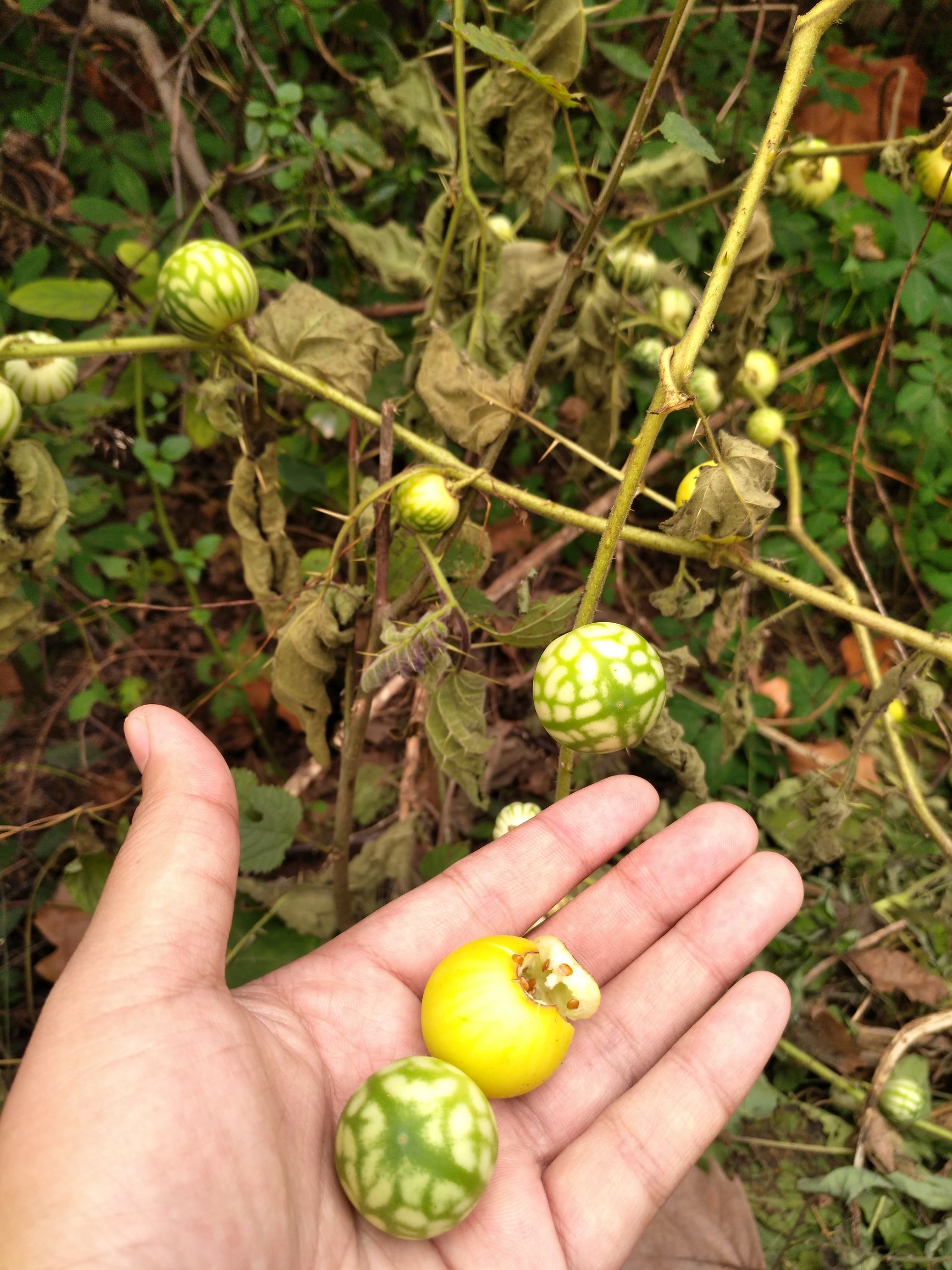 宁夏到陕西的沿途旅游,从宁夏自驾游到重庆多长时间