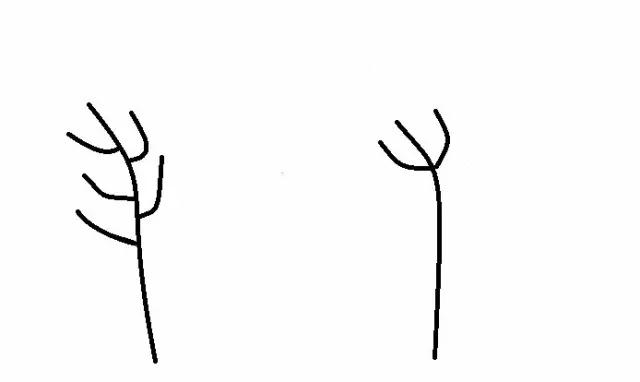 头发干燥打结分叉用哪些精油最好,头发干燥分叉打结推荐什么护发素