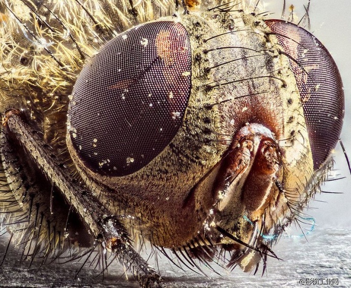 超级微距35倍,能用软件实现超级微距吗