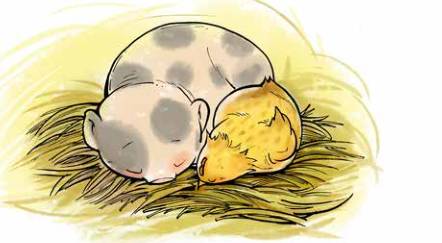 那只小母鸡，你收敛点！是你本命年也不能太过分！