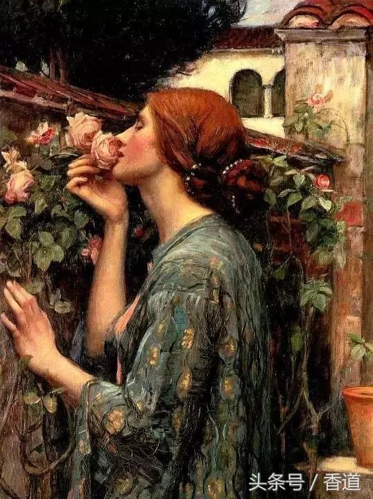 可囊可食，可嗅可观，可插可戴的玫瑰，才是“真玫瑰”