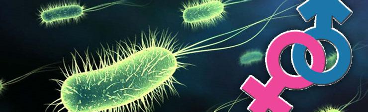 把珍珠疹当尖锐湿疣治疗，医生赚钱了，患者却惨了