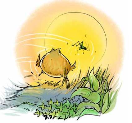 那只小母鸡，你收敛点！是你本命年也不能太过分！