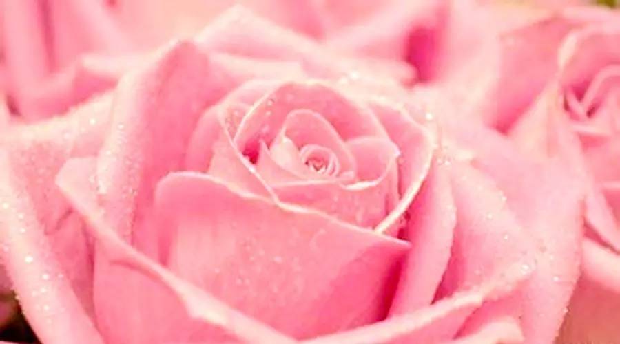 五险一金对比六险两金,七险一金比五险一金好多少