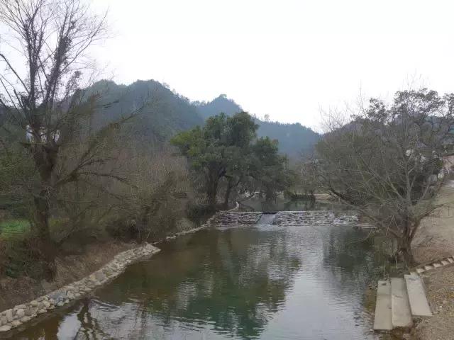 茶产业转型升级的意义,茶产业转型升级的建议