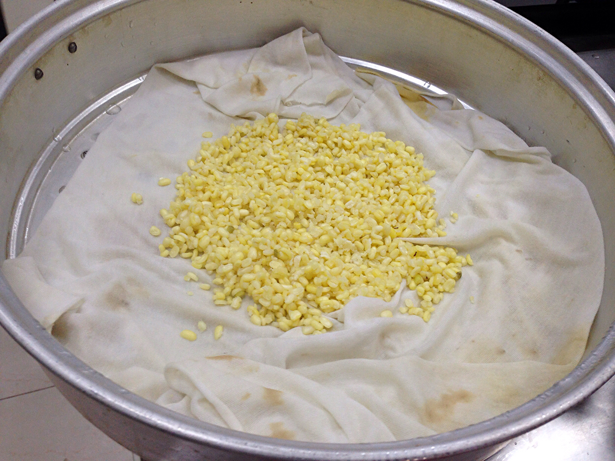 手把手教你做绿豆糕,如何做绿豆糕最简单的方法