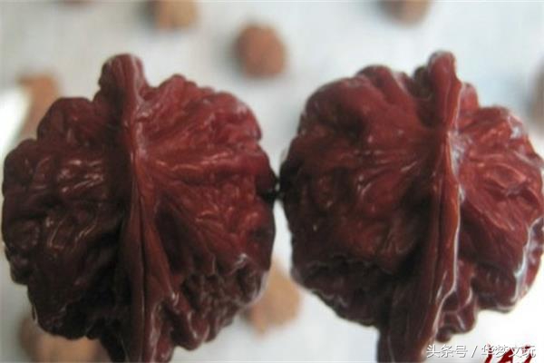 狮子头容易红吗,白狮子头很轻能玩出来吗