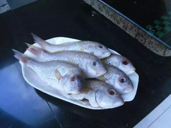 海边渔民怎么炖鱼,哪种海鱼炖鱼最好吃