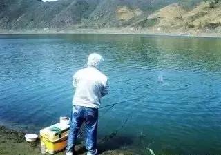 用白萝卜养红虫能够吗,土豆萝卜养红虫