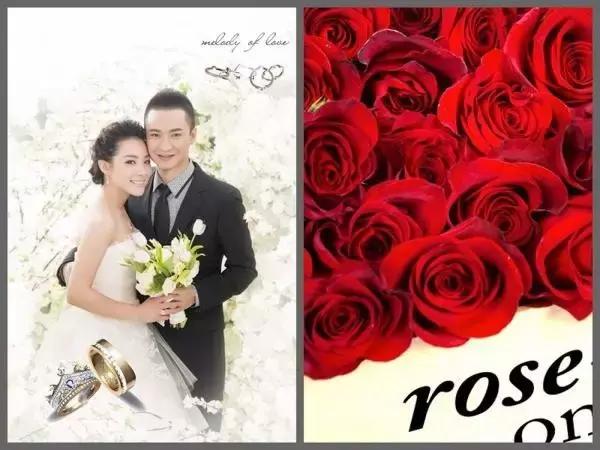 roseonly情人节限定,roseonly2020年情人节销量图表
