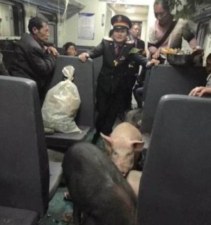 怎么知道托运的行李有没有过安检,不知道怎么过安检