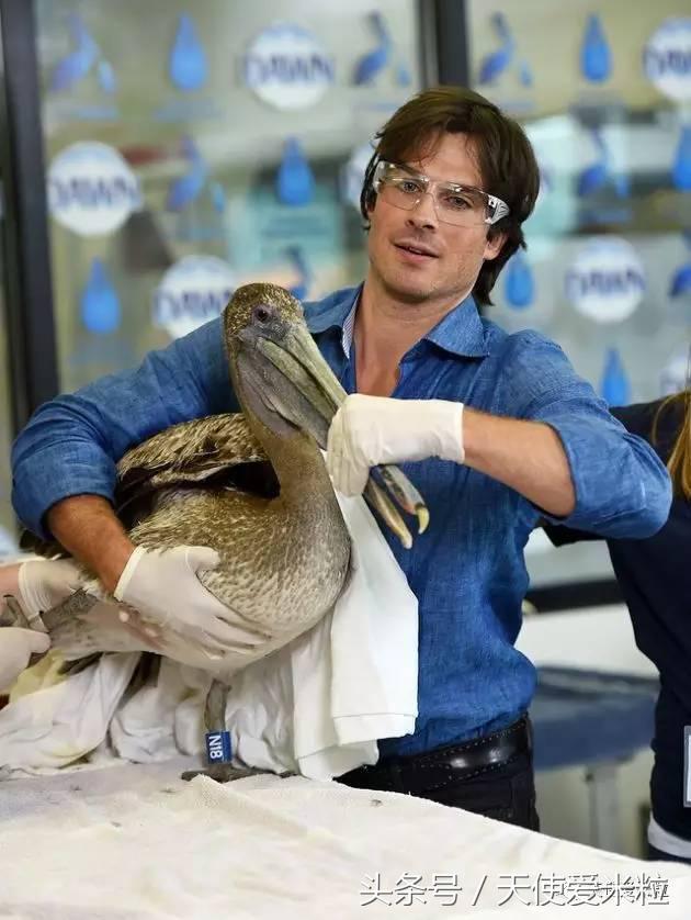 八卦骗局,八卦中的谣言有哪些