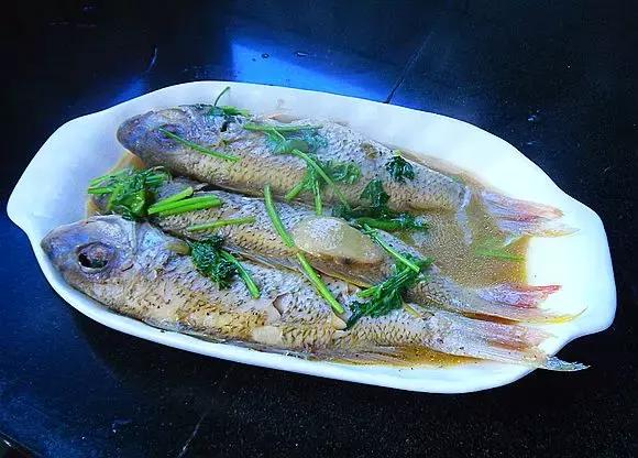 海边渔民怎么炖鱼,哪种海鱼炖鱼最好吃