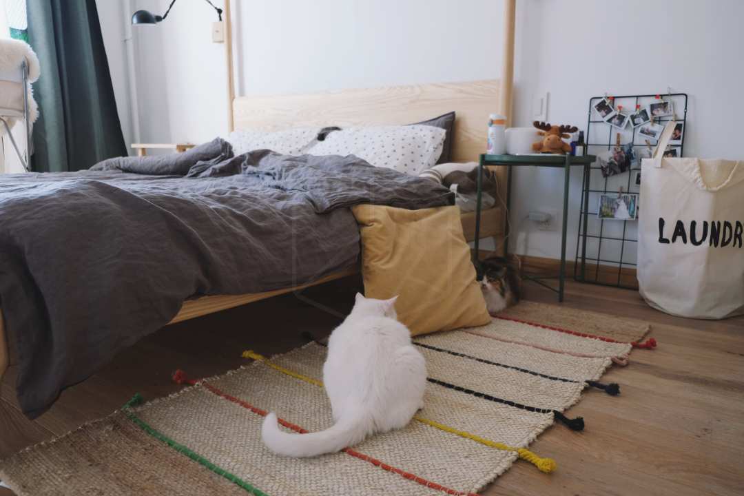 宜家的厨房橱柜质量怎么样,宜家厨房怎么样