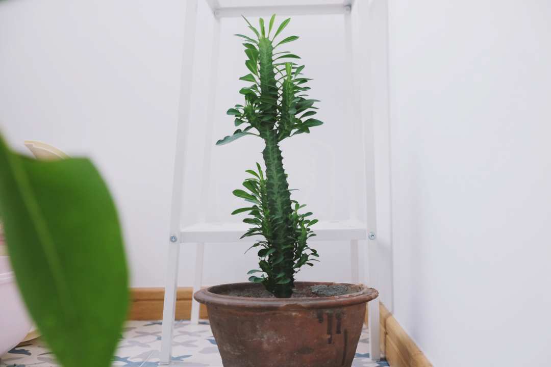 宜家的厨房橱柜质量怎么样,宜家厨房怎么样