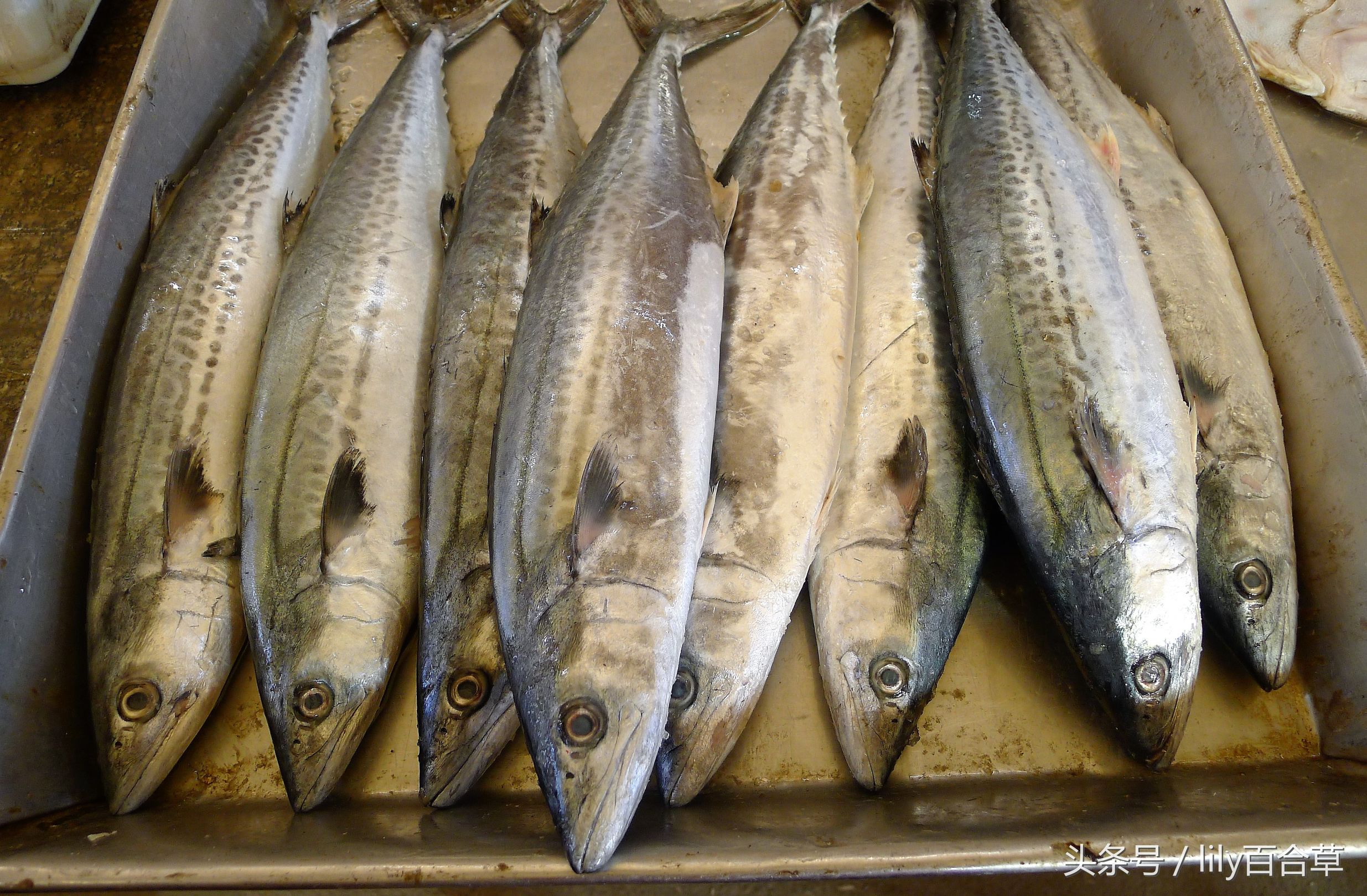 哪些海鲜能够带回家,回家路上能够带海鲜吗