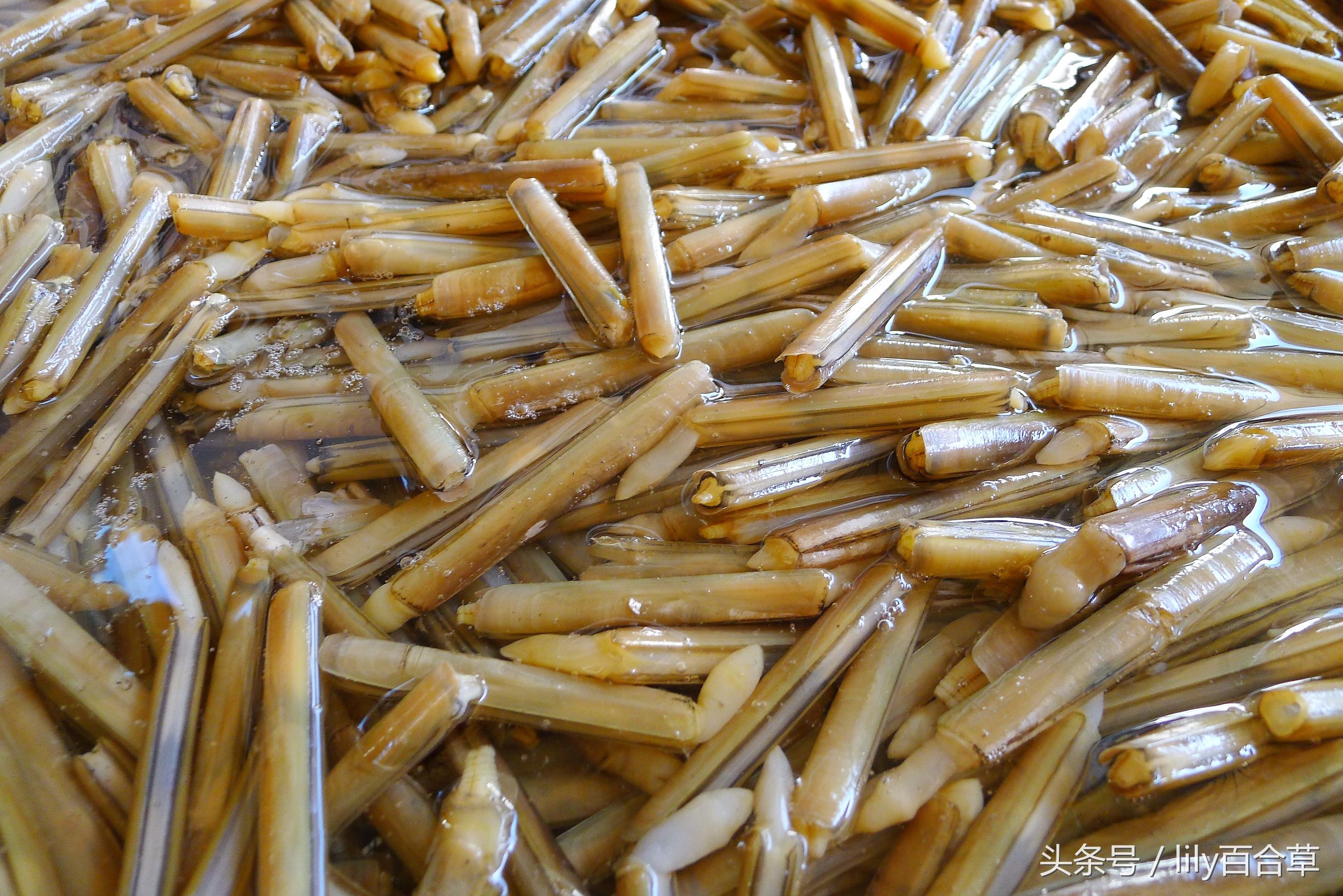 哪些海鲜能够带回家,回家路上能够带海鲜吗