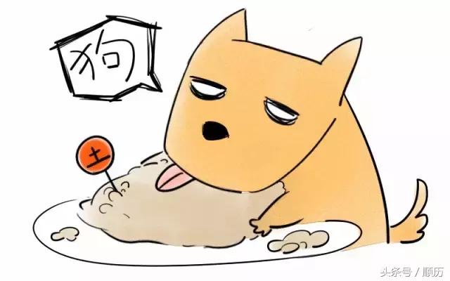 今年鸡年财运滚滚的生肖,鸡年最好运四大生肖详解