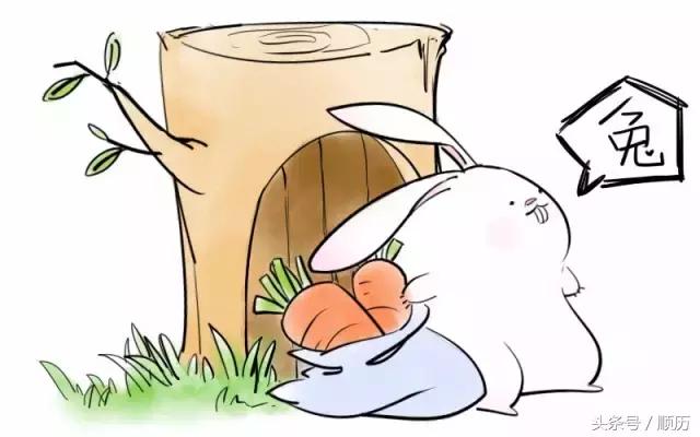 今年鸡年财运滚滚的生肖,鸡年最好运四大生肖详解