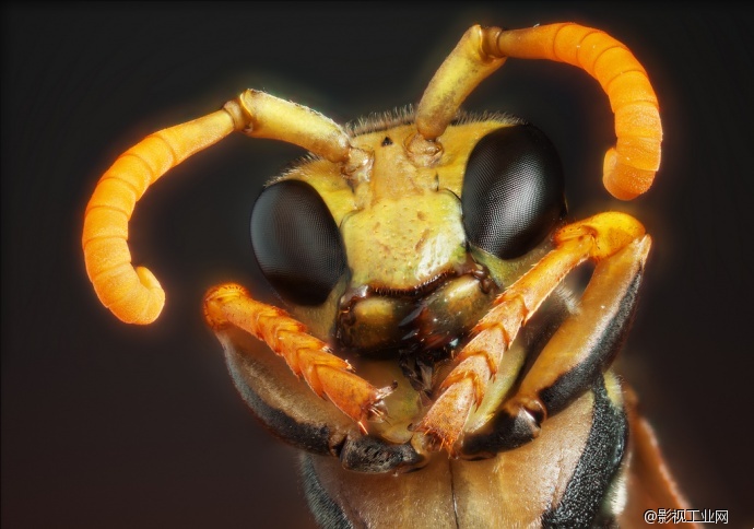 超级微距35倍,能用软件实现超级微距吗