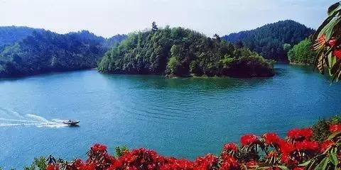 贵州省各县区经济排名,贵州地区总值多少