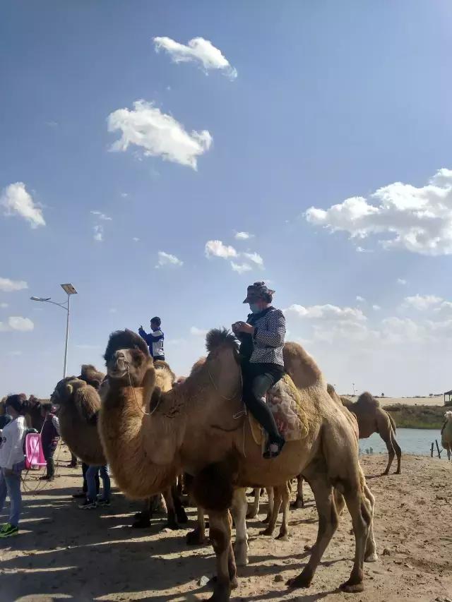 冬季奈曼沙漠旅游攻略,国庆合适去哪里的沙漠