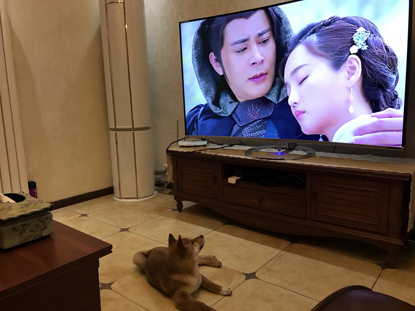 成精的那位，我家的招待能够吧