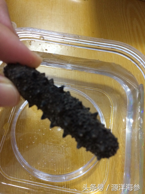鉴别海参真假视频,辨别即食海参真假