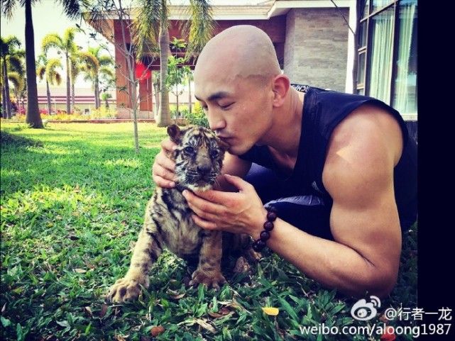 一龙展示金钟罩铁布衫被ko,一龙ko一龙完全版