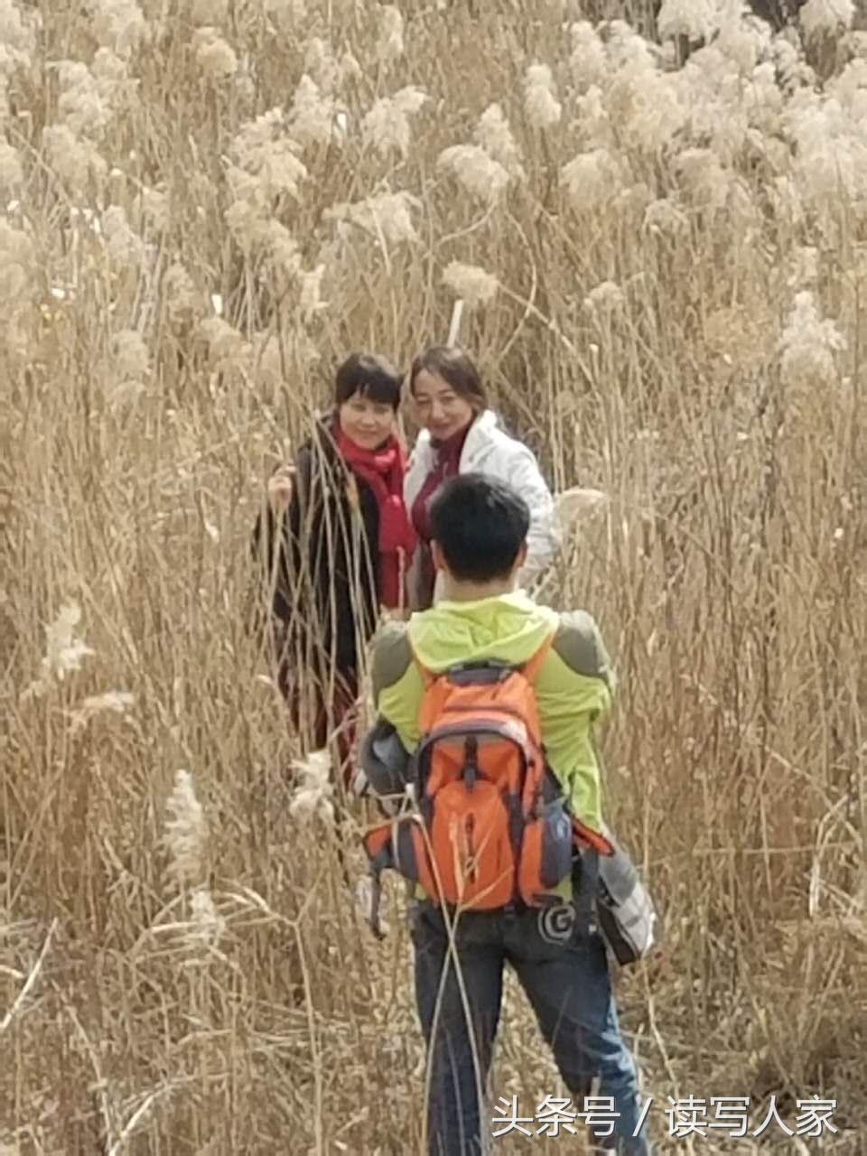 赵正禄专栏｜春天外面日照明媚，我就去徒步