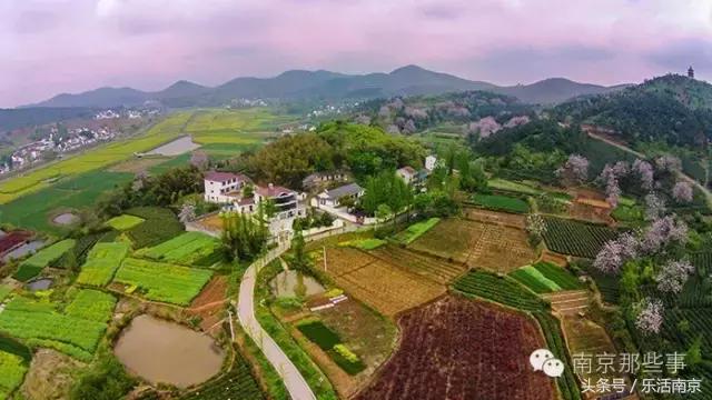 南京梅花赏花游记,好玩的摘草莓胜地打卡