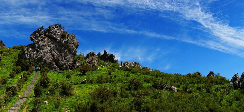 李时珍坚持尝百草的励志故事,尝遍百草的李时珍