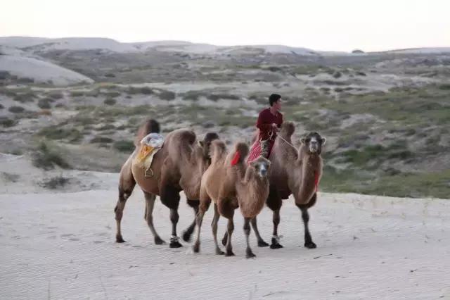 冬季奈曼沙漠旅游攻略,国庆合适去哪里的沙漠