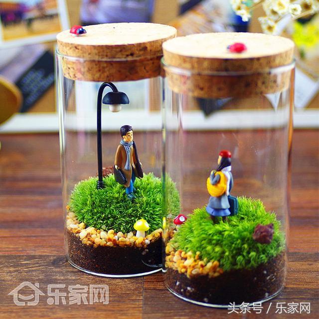 哪些绿植除甲醛效果好,哪种除甲醛的绿植最好用