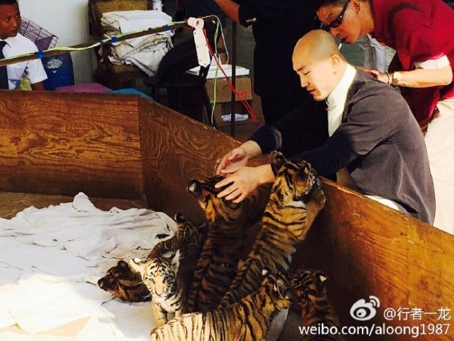 一龙展示金钟罩铁布衫被ko,一龙ko一龙完全版