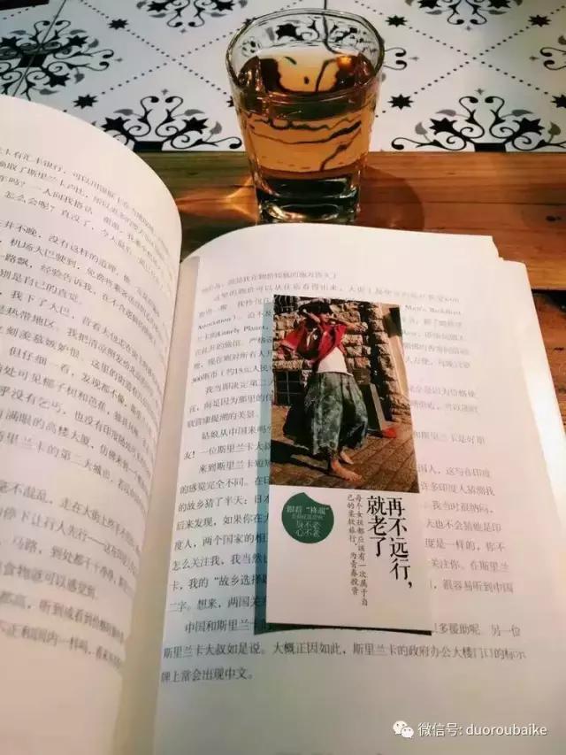 春天的多肉带给枯木新的生机，于是它们相爱了！