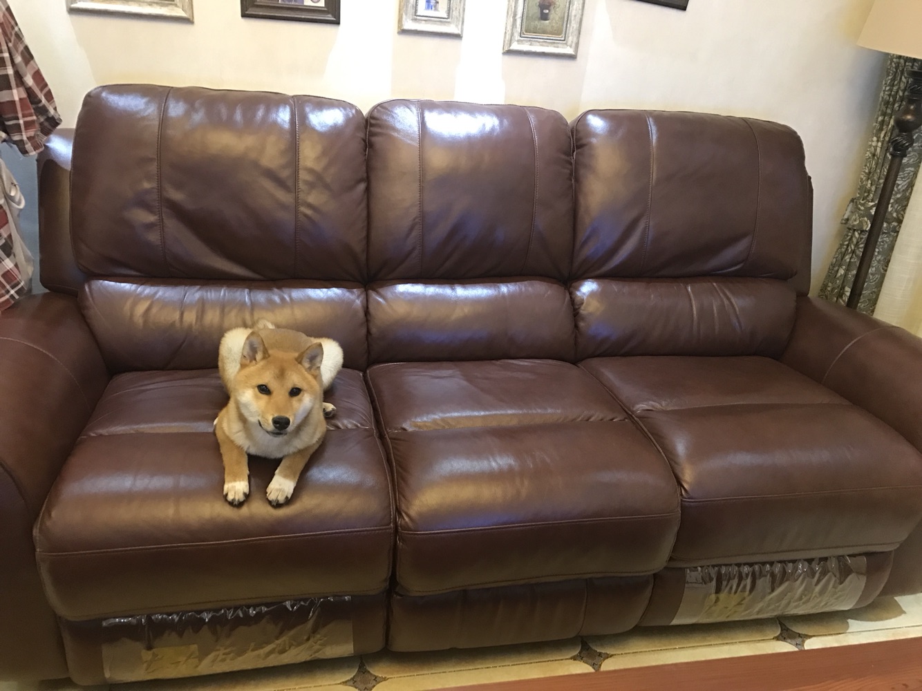 成精的那位，我家的招待能够吧