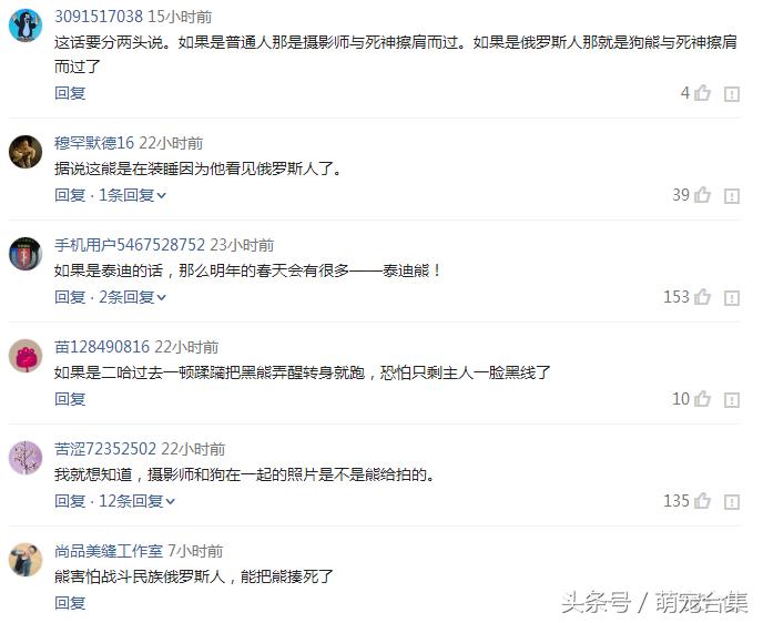 狗狗在野外发现了个洞穴,狗狗发现神秘洞穴