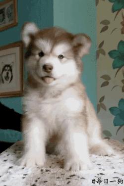 无系*江阳**佬都无知你讲出咪嘢来！