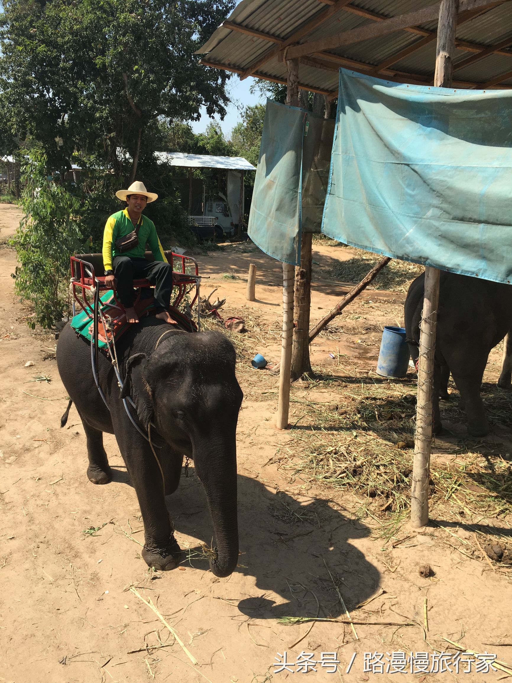 泰国曼谷跟团游旅游攻略大全 (泰国曼谷跟团游)