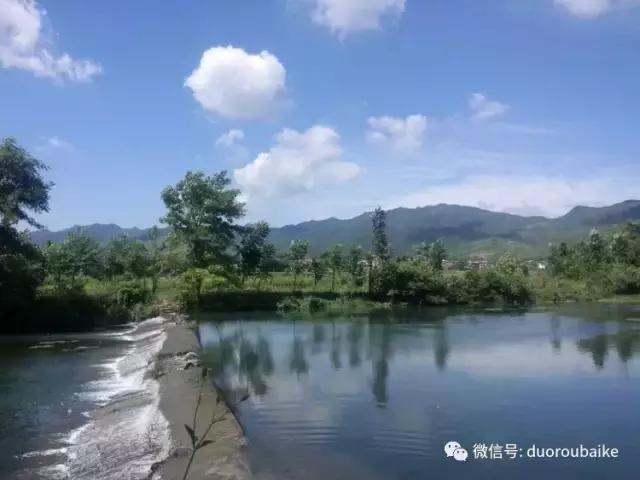 雪地里妈妈种的漂亮多肉,女儿种的多肉