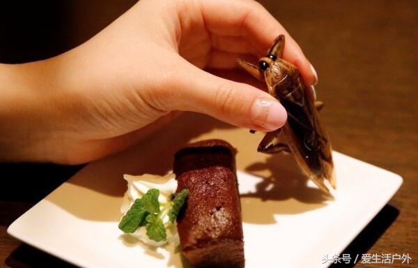 你见过用蟑螂面包虫等做的高级西餐和酒水吗？最后一个口味太重了