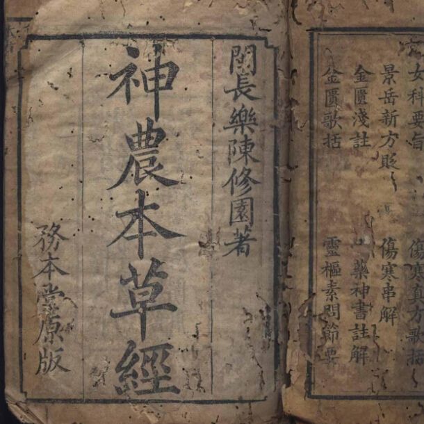 李时珍坚持尝百草的励志故事,尝遍百草的李时珍