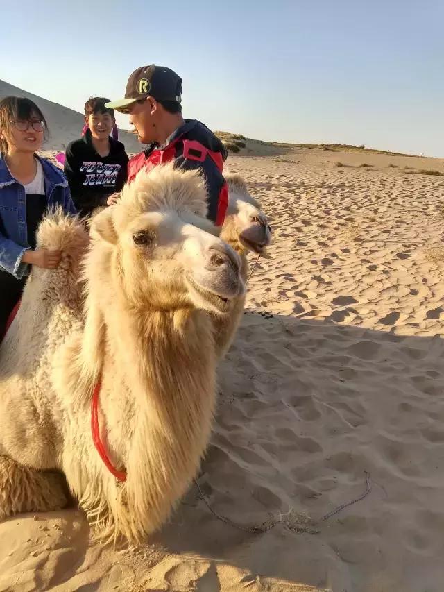 冬季奈曼沙漠旅游攻略,国庆合适去哪里的沙漠