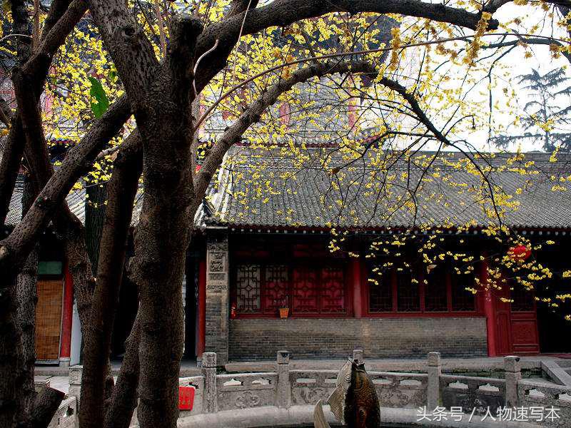 抑郁症能够出家在寺庙治好吗,女子出家为尼10年后起诉离婚