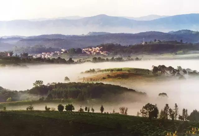 在美丽的西双版纳领略异域风情,美丽的西双版纳体验异国风情