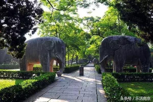 南京梅花赏花游记,好玩的摘草莓胜地打卡