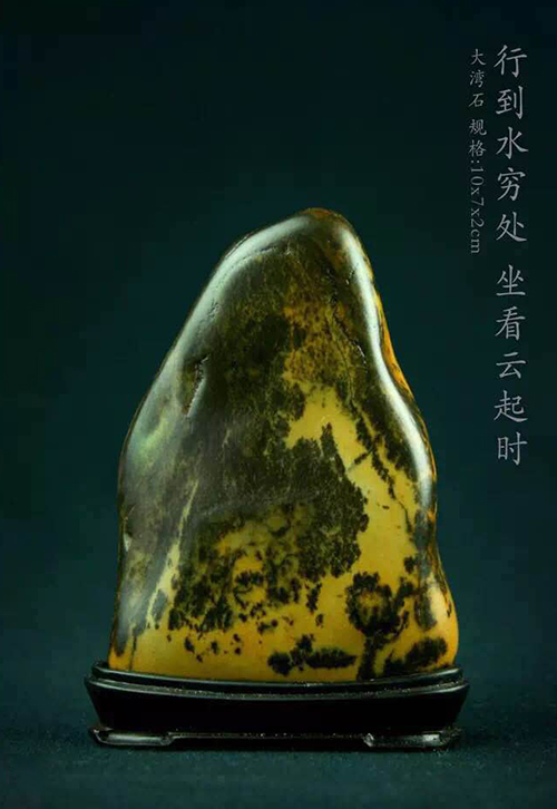 抱月轩主禹玉良藏石选集