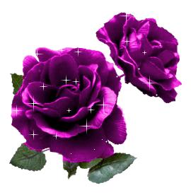黄宾虹绘画语录 (黄宾虹画语图解)