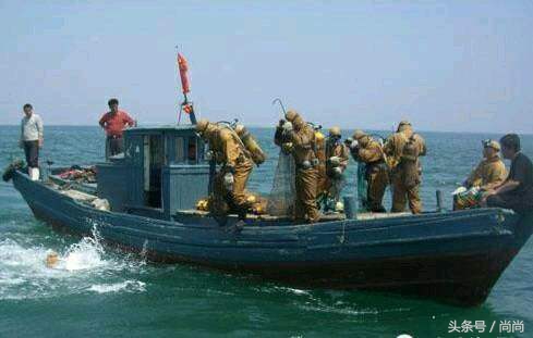 春季海参即将上市,今年海参最新价格是多少